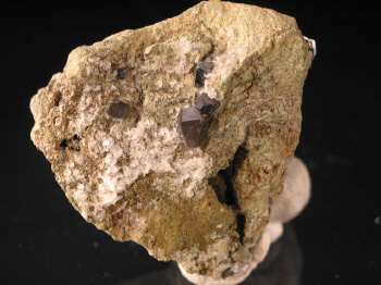 ana010.JPG (84130 bytes)