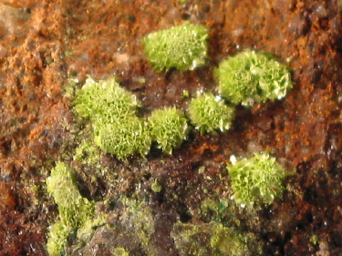 IMG_2702.JPG (158712 bytes)