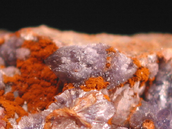 IMG_7864.JPG (103709 bytes)