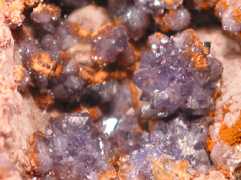 IMG_7868.JPG (142898 bytes)