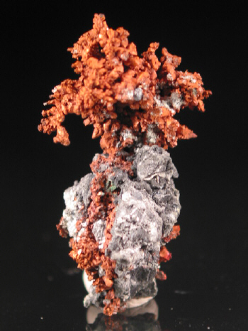 IMG_7870.JPG (93579 bytes)