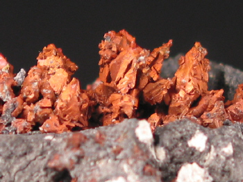 IMG_7872.JPG (117778 bytes)