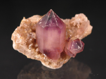 IMG_7875.JPG (62184 bytes)