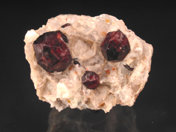 IMG_7879.JPG (77276 bytes)