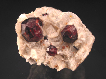 IMG_7881.JPG (78378 bytes)