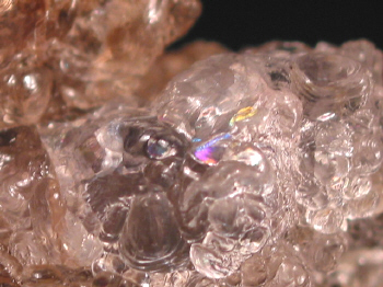 IMG_7884.JPG (108462 bytes)