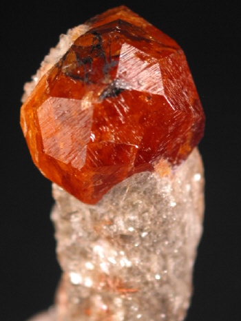 IMG_7892.JPG (85259 bytes)