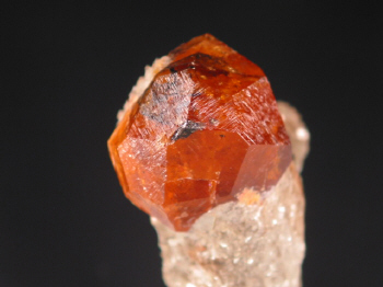 IMG_7897.JPG (65280 bytes)