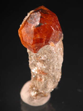 IMG_7898.JPG (67673 bytes)