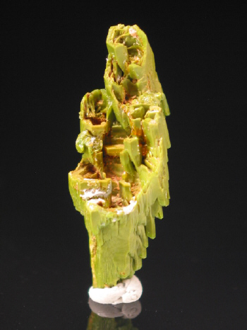 IMG_7903.JPG (65766 bytes)