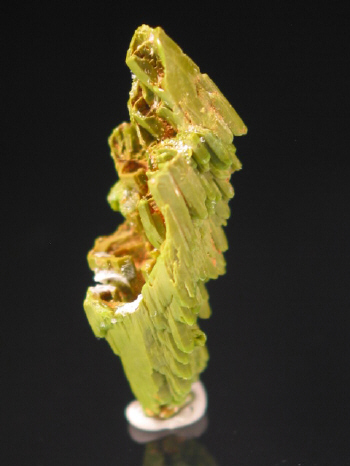 IMG_7904.JPG (62033 bytes)