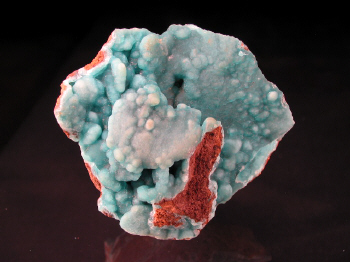 IMG_7906.JPG (84876 bytes)