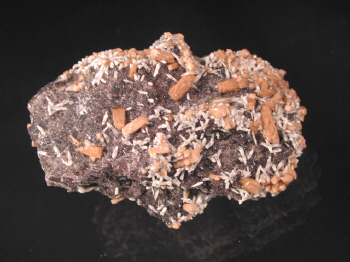 IMG_7911.JPG (106048 bytes)