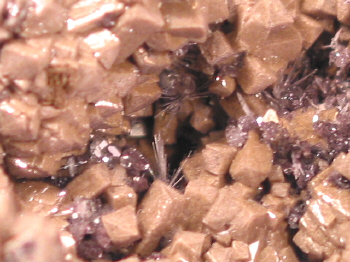 IMG_7914.JPG (119538 bytes)