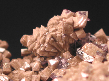 IMG_7915.JPG (99805 bytes)