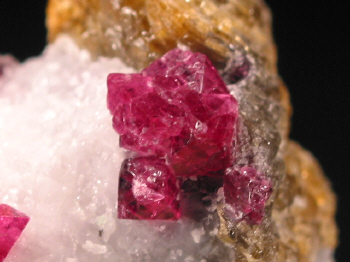 IMG_7918.JPG (87026 bytes)