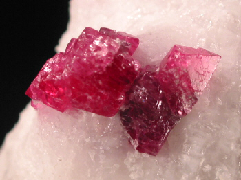 IMG_7919.JPG (89045 bytes)