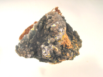 IMG_7924.JPG (70780 bytes)