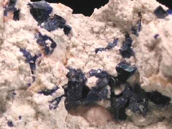 IMG_7982.JPG (117201 bytes)