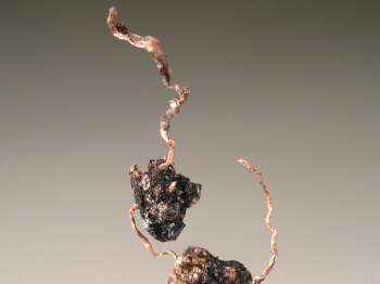 Silver1.JPG (51389 bytes)