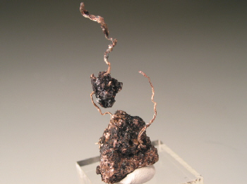 silver2.JPG (57993 bytes)