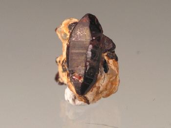 chond5.jpg (64826 bytes)