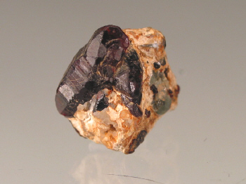 chond5a.jpg (76932 bytes)