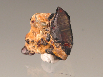 chond5b.jpg (77739 bytes)