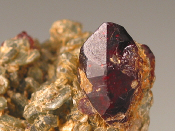 chond6a.jpg (107186 bytes)