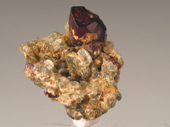 chond6b.jpg (84794 bytes)