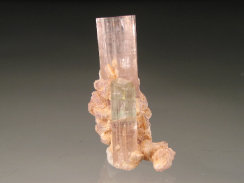 IMG_3238.JPG (53733 bytes)