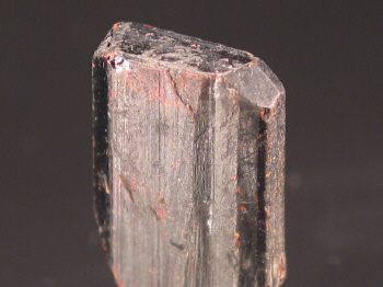 mang2a.JPG (92053 bytes)