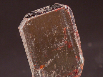 mang2b.JPG (92703 bytes)