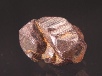 mang.JPG (87970 bytes)