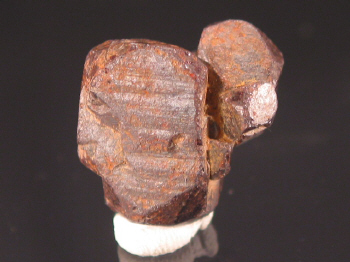 mangc.JPG (89462 bytes)