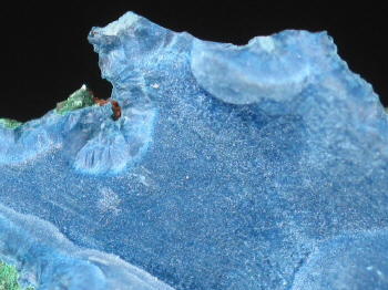 IMG_7514.JPG (144572 bytes)