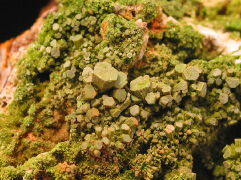 pyromorphite_tazmania2.JPG (177062 bytes)