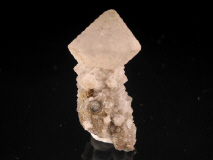 clim24.JPG (33157 bytes)