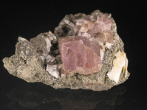 clim49.JPG (55774 bytes)