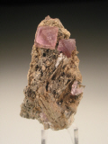iml23.JPG (94588 bytes)