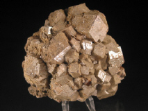 imm7.JPG (65039 bytes)