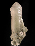 imm9.JPG (69979 bytes)