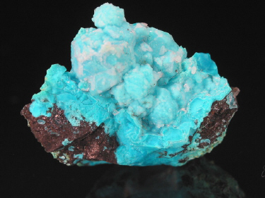 IMG_0246.JPG (96434 bytes)