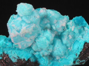 IMG_0247.JPG (103129 bytes)