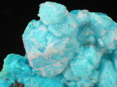 IMG_0248.JPG (87238 bytes)