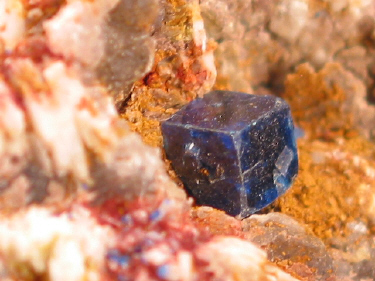 IMG_9263.JPG (111599 bytes)