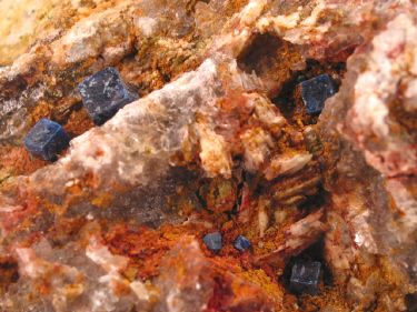 IMG_9264.JPG (152019 bytes)