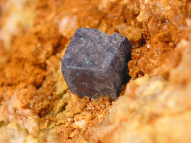 IMG_9272.JPG (107341 bytes)