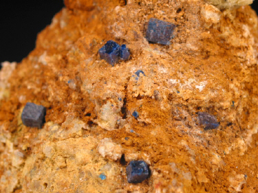 IMG_9273.JPG (149407 bytes)