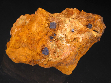 IMG_9276.JPG (117121 bytes)